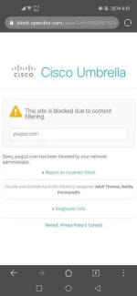 Screenshot_20200615_205109_com.huawei.browser.webp