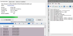 svl.webp