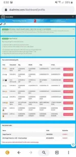 Screenshot_20200619-205000_CryptoTab Browser.webp