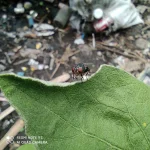 IMG_20200620_124812.webp