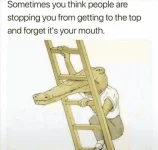 1592878866613.webp