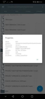 Screenshot_20200623_085417_com.speedsoftware.rootexplorer.webp