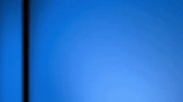 giphy.gif giphy.gif