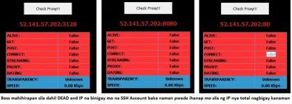 1593058010119.webp