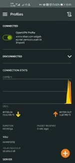 Screenshot_20200626_000123_net.openvpn.openvpn.webp