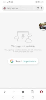 Screenshot_20200626_163527_com.opera.mini.native.webp