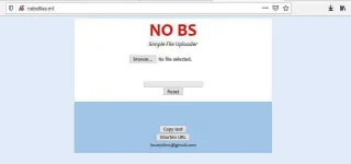 235235.webp