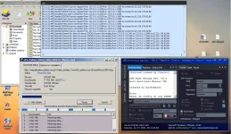 connected.webp