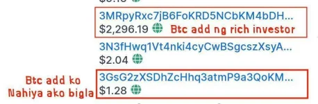 1593356667026.webp 1593356667026.webp