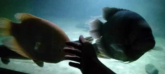IMG20191130015048.webp