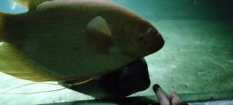 IMG20191130015118.webp