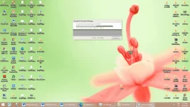 13mb.webp