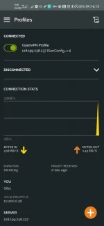 Screenshot_20200630_181526_net.openvpn.openvpn.webp