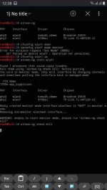 Screenshot_20200701-003850_NetHunter Terminal.webp