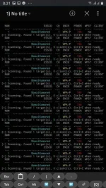 Screenshot_20200701-083130_NetHunter Terminal.webp