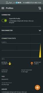 Screenshot_20200701_210428_net.openvpn.openvpn.webp