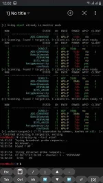 Screenshot_20200702-000211_NetHunter Terminal.webp