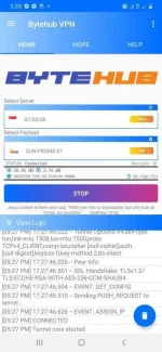 Screenshot_20200703-173812_Bytehub VPN.webp Screenshot_20200703-173812_Bytehub VPN.webp