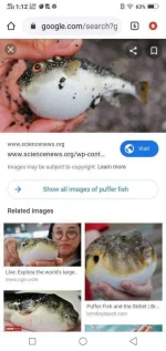 Screenshot_20200706_131233.webp