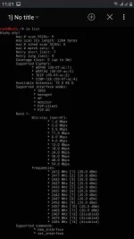 Screenshot_20200706-230200_NetHunter Terminal.webp