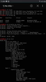 Screenshot_20200706-230823_NetHunter Terminal.webp