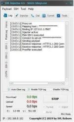 svi1.webp
