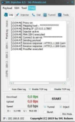 svi2.webp