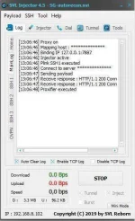 svi3.webp