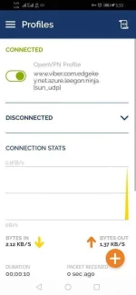 Screenshot_20200710_173316_net.openvpn.openvpn.webp