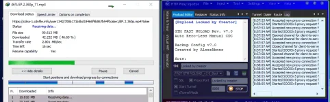HPI.webp