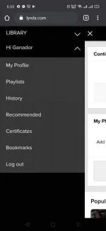 Screenshot_2020-07-13-05-33-34-82.webp