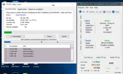 svlv6.2.webp