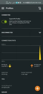 Screenshot_20200720_095219_net.openvpn.openvpn.webp