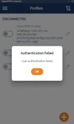 Capture.webp