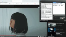 1595254322117.webp 1595254322117.webp
