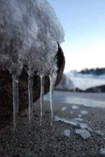 Icy-Quartet.webp Icy-Quartet.webp