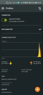 Screenshot_20200721_150402_net.openvpn.openvpn.webp