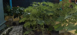 20200717_221918.webp
