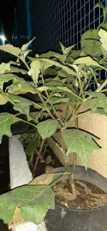 20200717_222040.webp