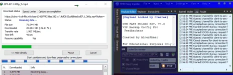 HPI V7.3.webp