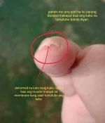 IMG_20200726_100453.webp IMG_20200726_100453.webp