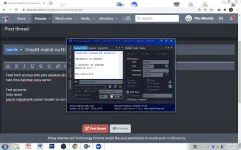 cccc.webp