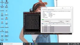 shiah's v1 proof.webp