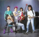 Group Shot.webp