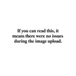 1758369548970.webp 1758369548970.webp