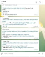 BotPrize1.webp