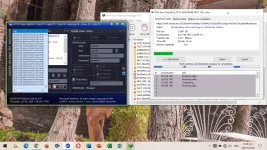 Screenshot (31).webp