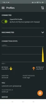 Screenshot_2020-08-01-07-50-10-35_022e3cab1c7185a33262f5344446c522.webp