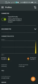 Screenshot_20200801_135912_net.openvpn.openvpn.webp