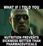 FB_IMG_15962981829472110.webp